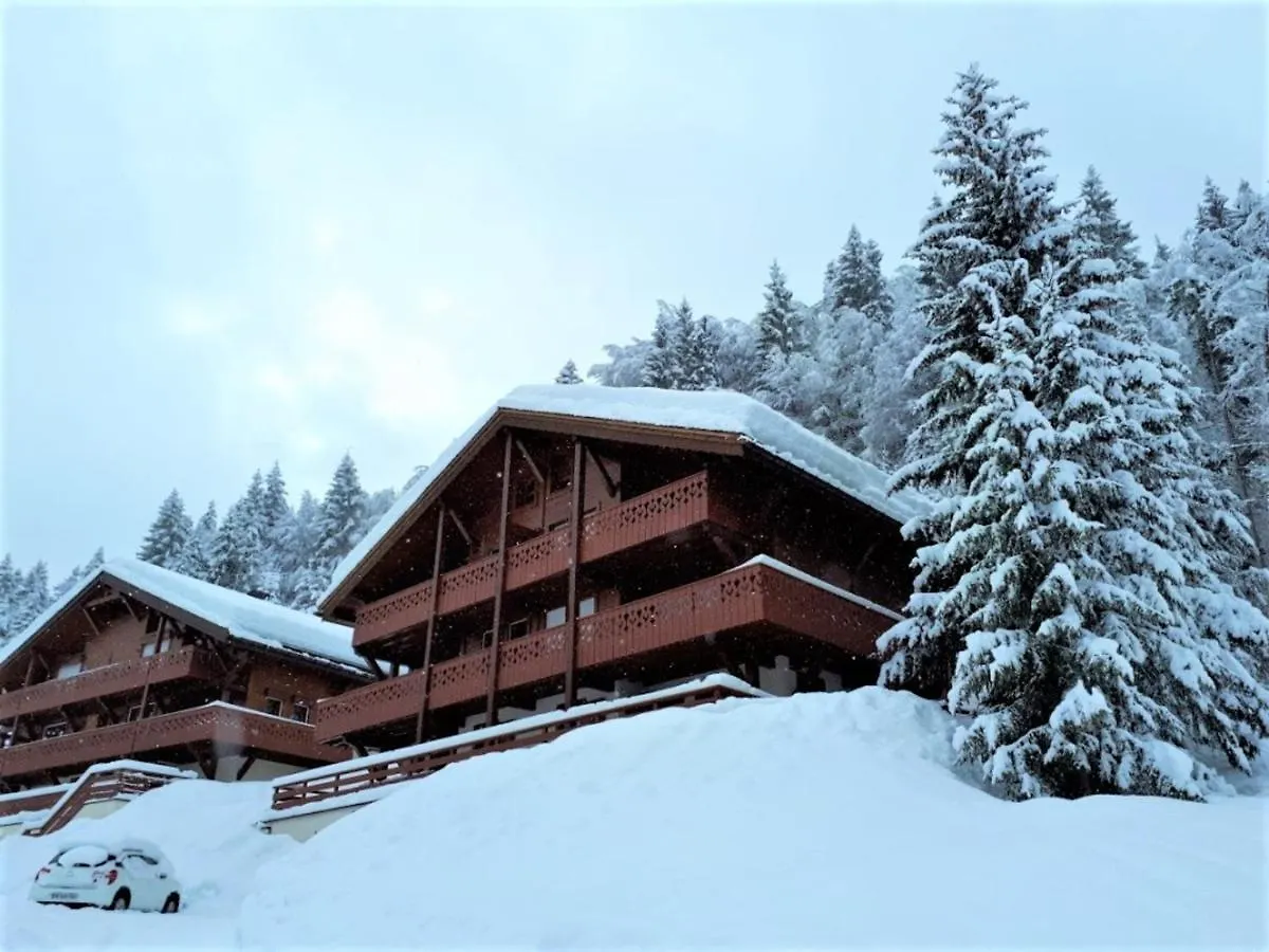 Appartement Ski Aux Pieds, 2 Chambres, Terrasse Et Parking Couvert - La Clusaz - Fr-1-459-49