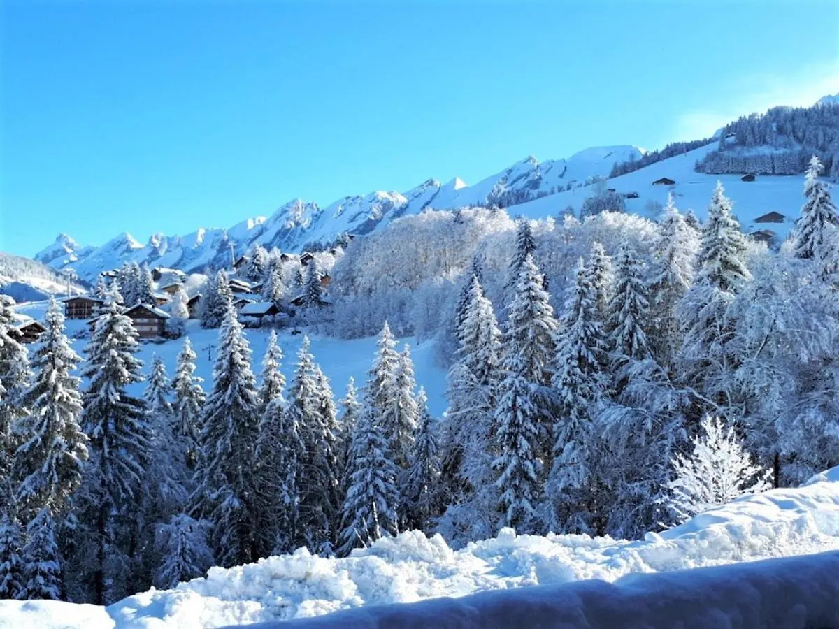 Apartment Appartement Ski Aux Pieds, 2 Chambres, Terrasse Et Parking Couvert - La Clusaz - Fr-1-459-49